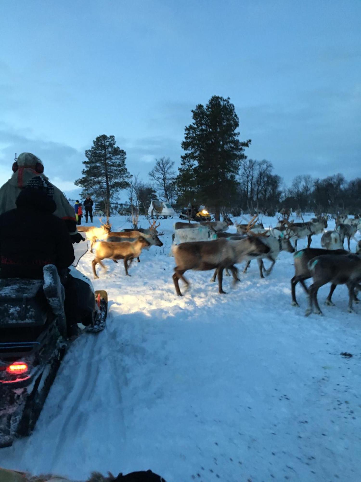 Bardufoss Hotell Kültér fotó