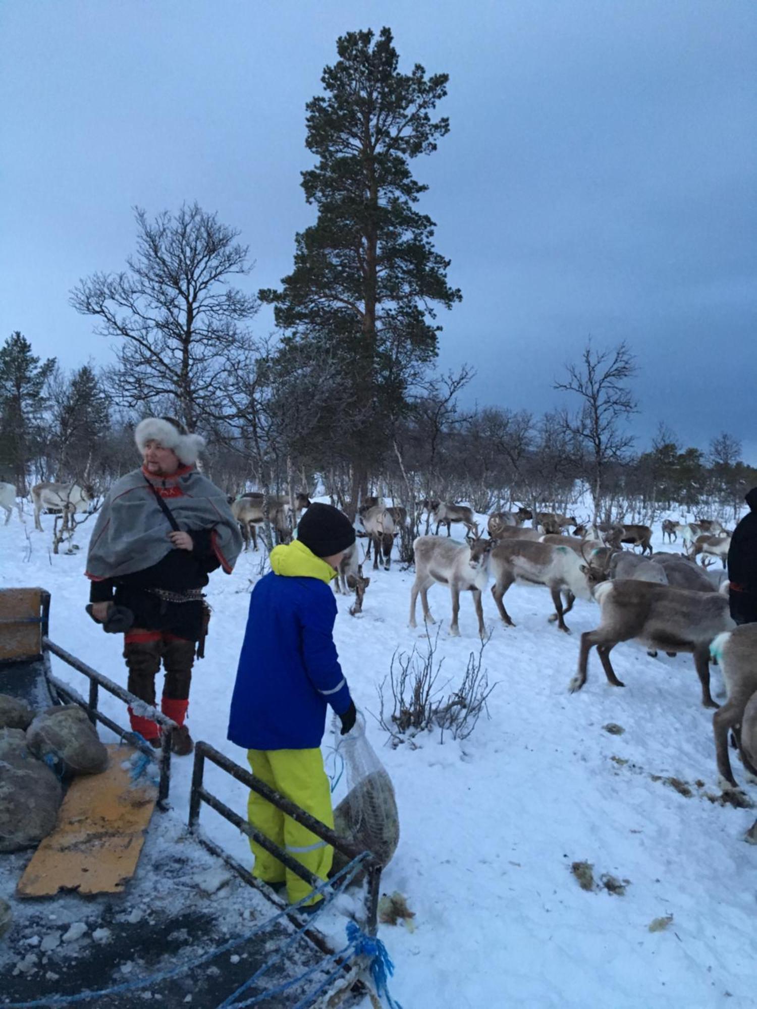 Bardufoss Hotell Kültér fotó