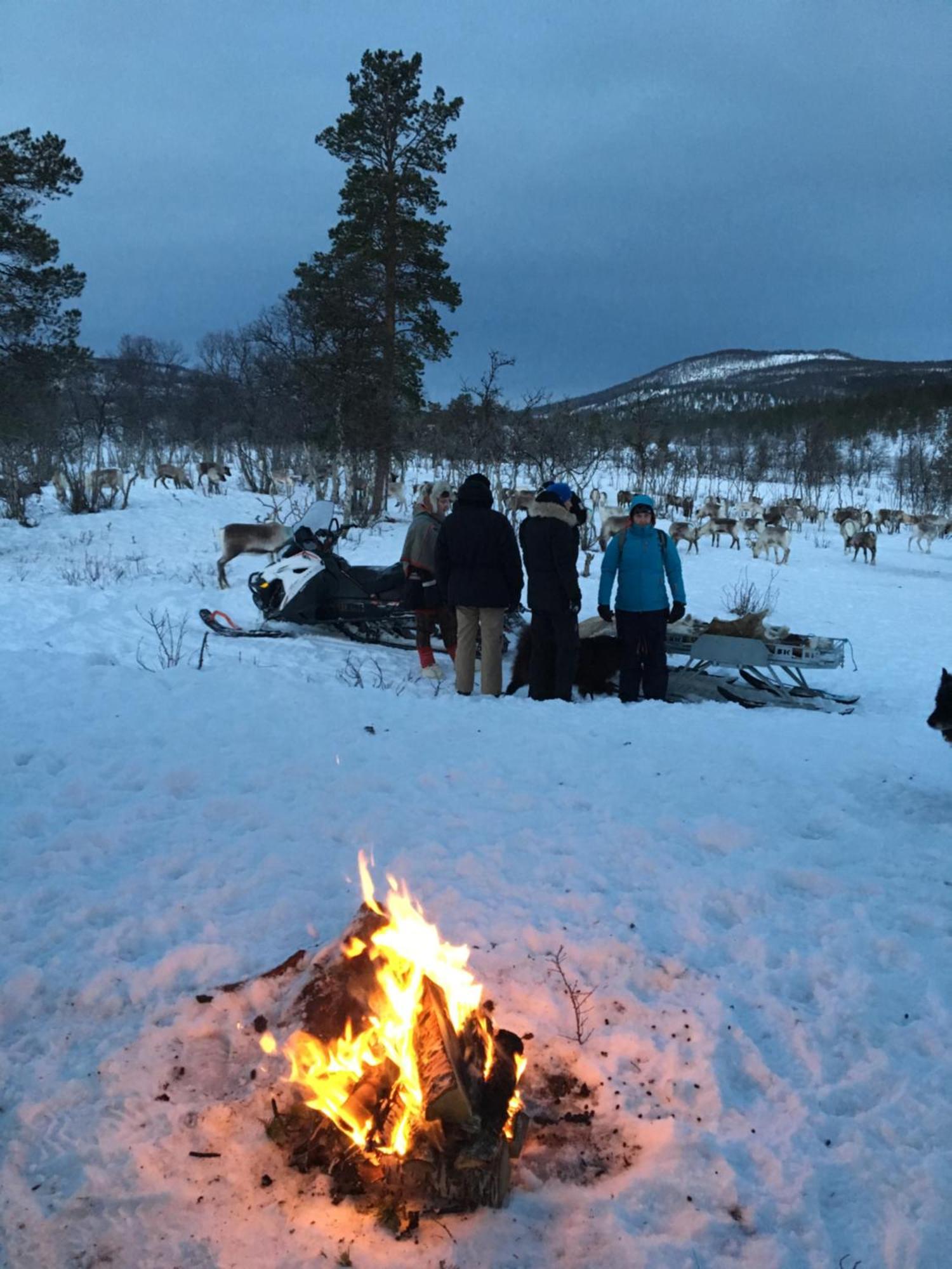Bardufoss Hotell Kültér fotó